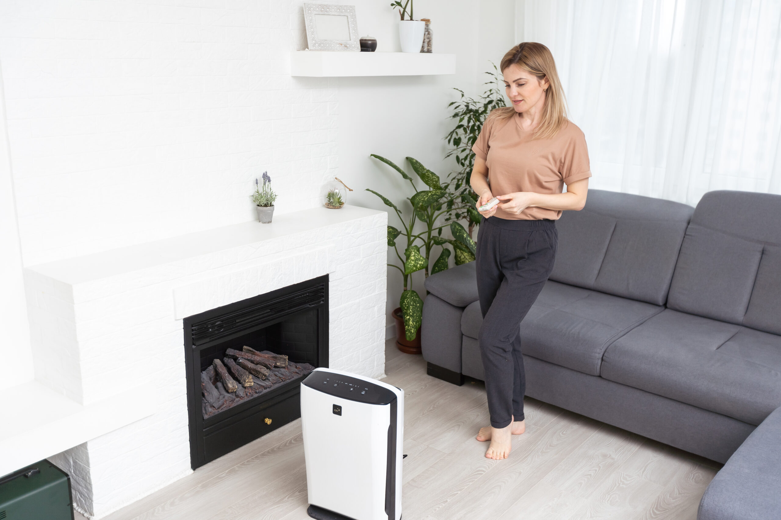 air purifier